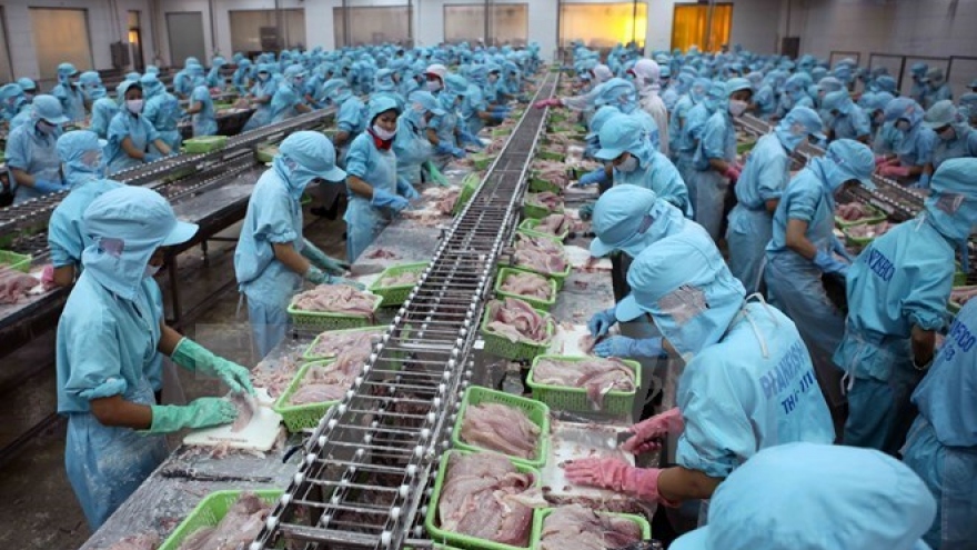 Tra fish exports to China continue to thrive
