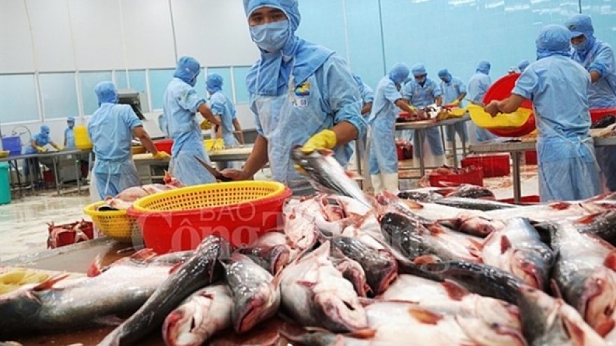 Tra fish exports to exceed US$2 billion