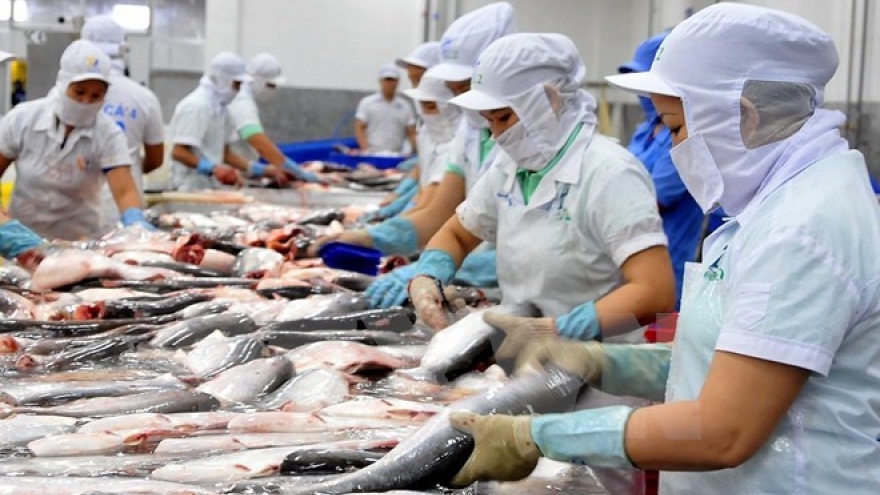 Seafood processing fuels export in Tien Giang