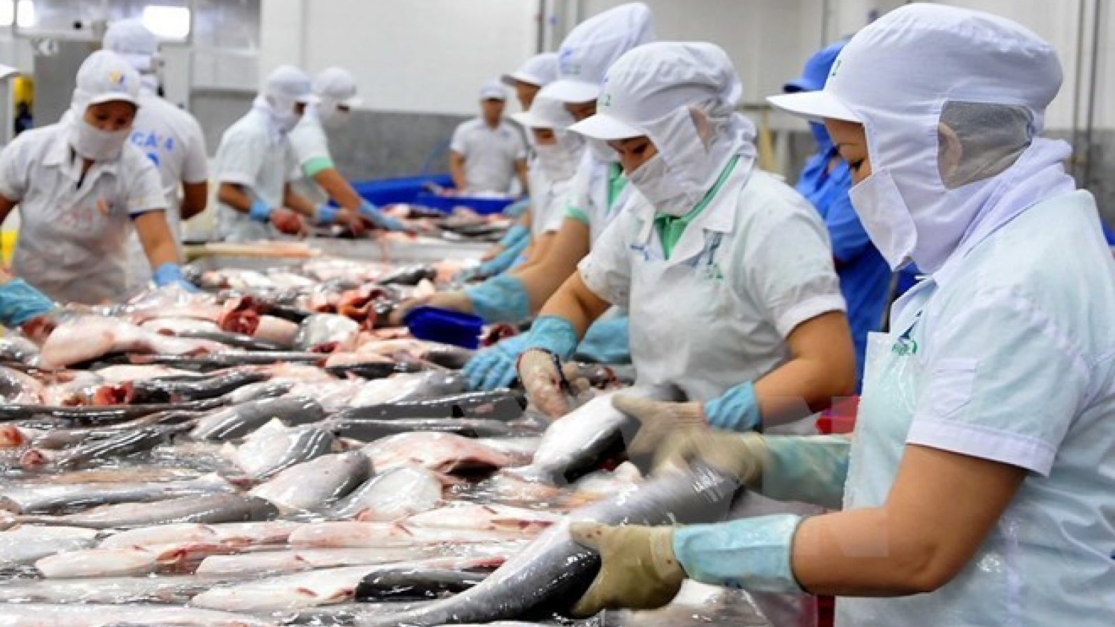 Vietnam’s food-beverage market attractive to foreign firms