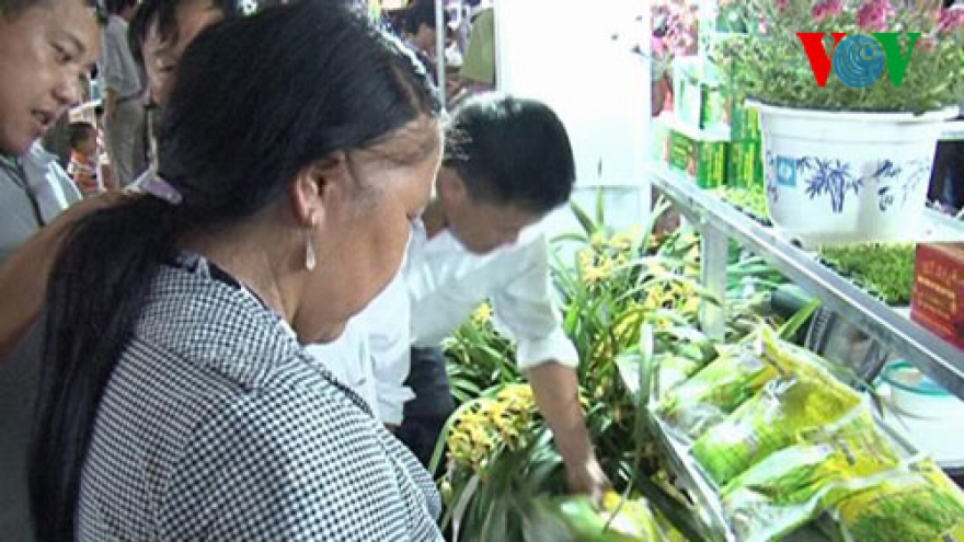 Vietnamese products featured at Algerian fair