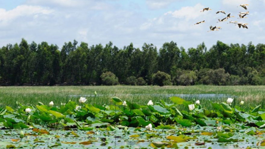 Eco-friendly tour launched at Tram Chim National Park