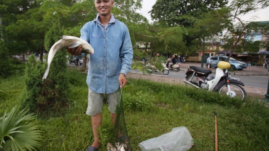 
        Hanoians go fishing in the streets after Typhoon Dianmu
                          
                      