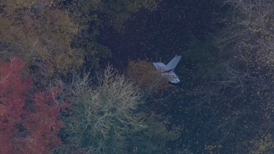 Vietnamese pilot killed in UK mid-air collision