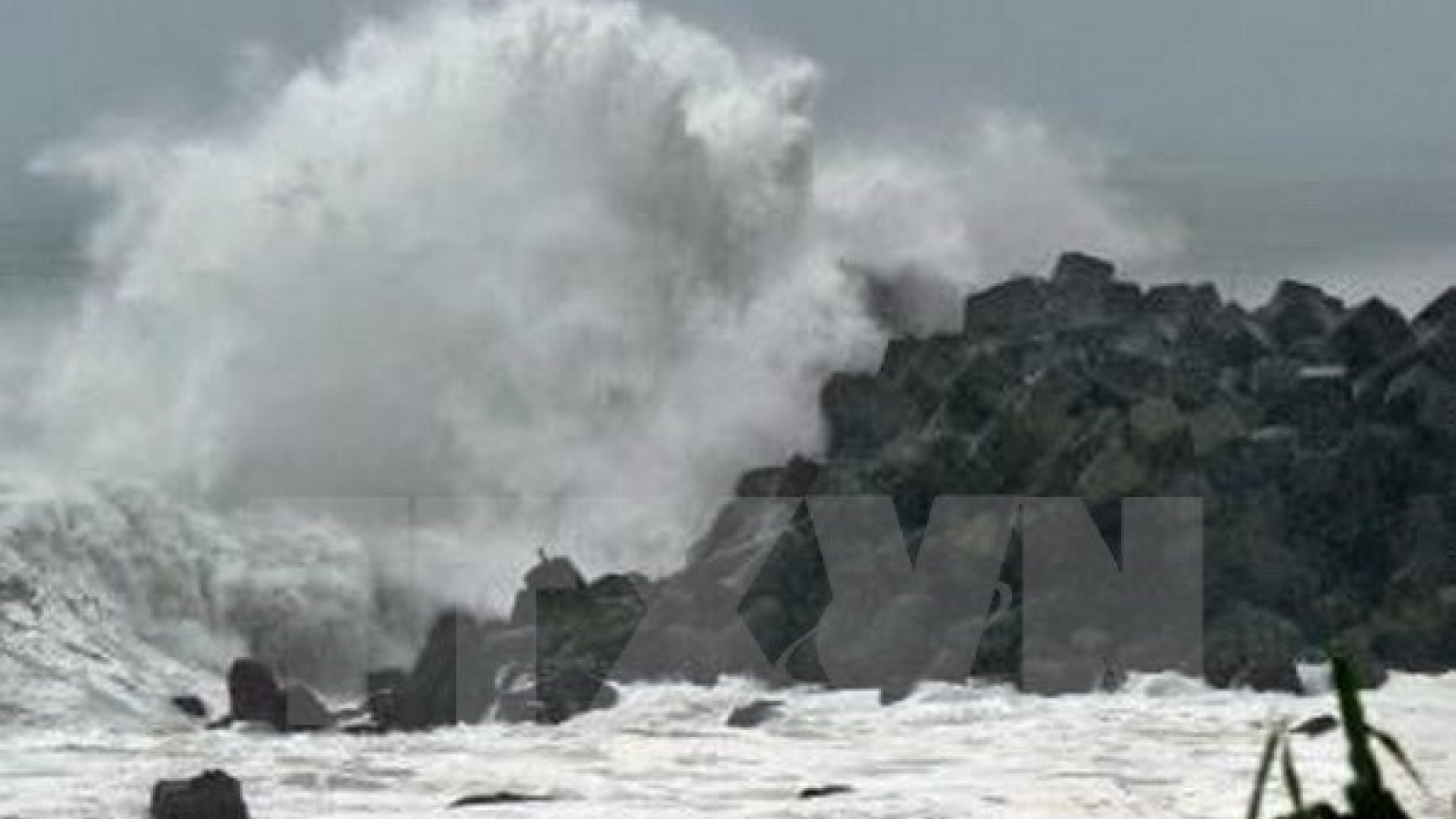 UNDP, Japan helps Vietnamese students deal with natural disasters