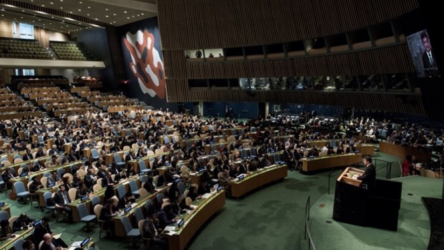 Vietnam proposes disaster risk reduction measures to UN