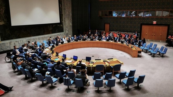 Vietnam well positioned to fulfil role in UN Security Council: veteran diplomat