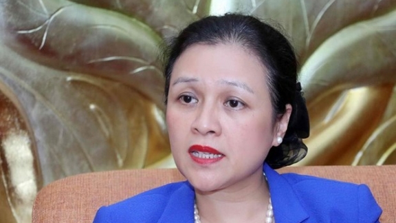 UNSC non-permanent seat brings cooperation chances for Vietnam: diplomat