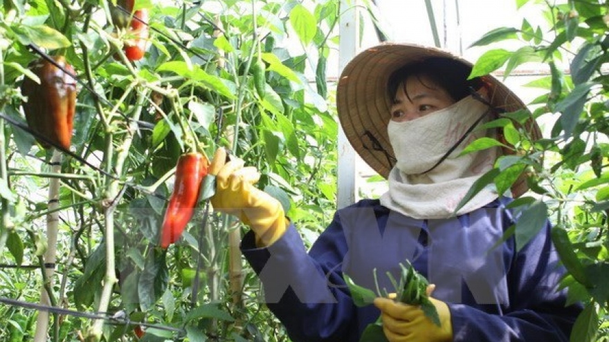 Women’s economic empowerment spotlighted at UN discussion