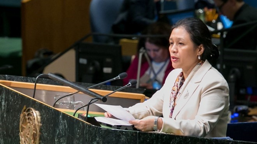 Vietnam affirms consistent support for complete disarmament