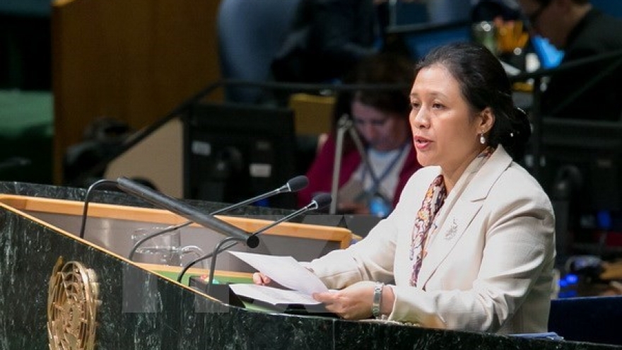 UN peacekeeping operations need reform: Ambassador Nga