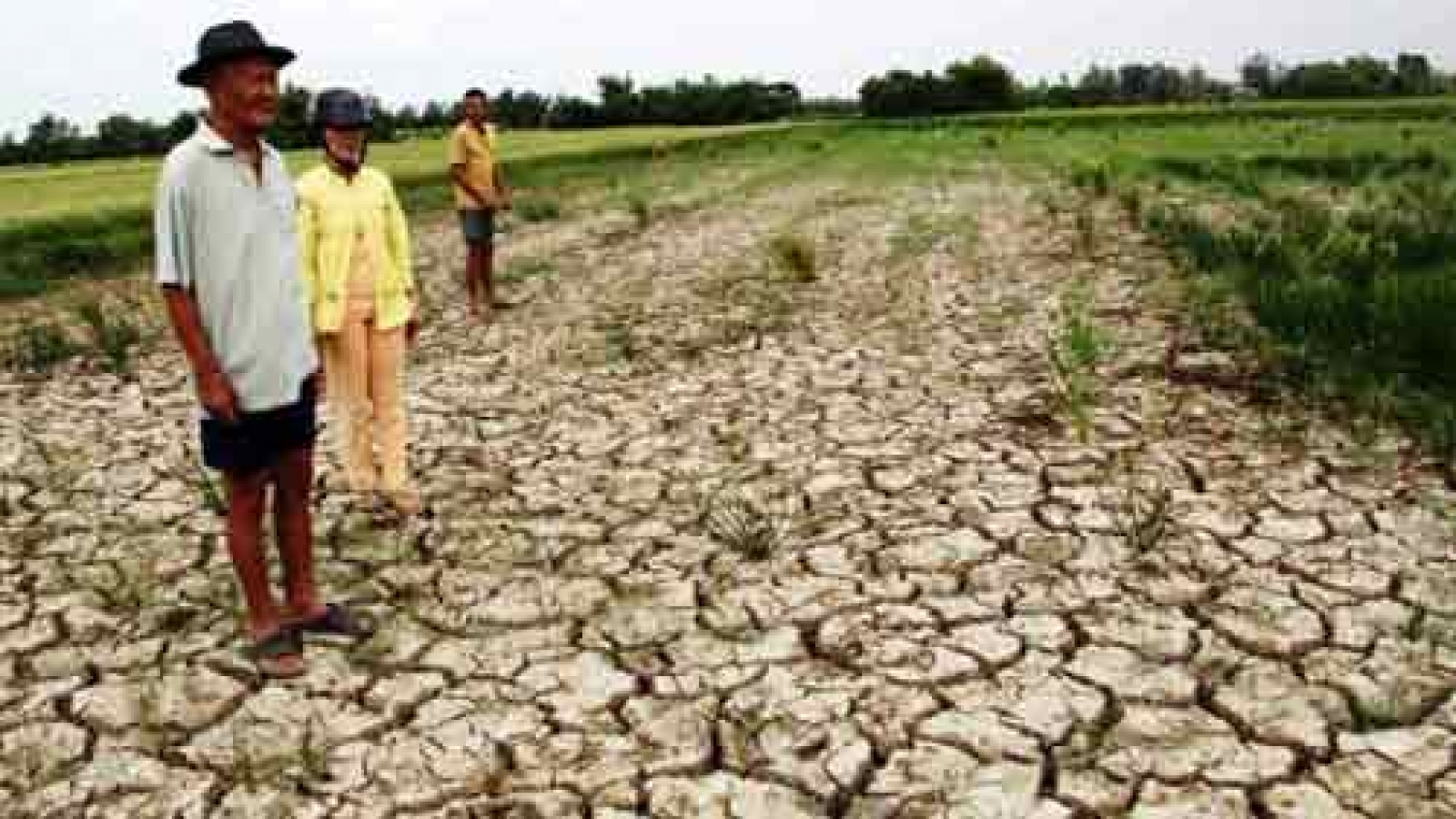 USAID helps Vietnam cushion climate change impacts