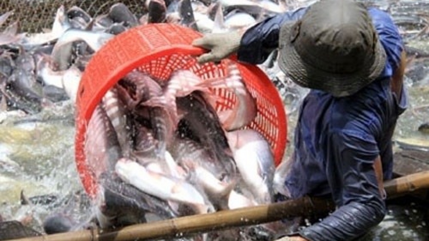 US Senate votes to end catfish inspection programme