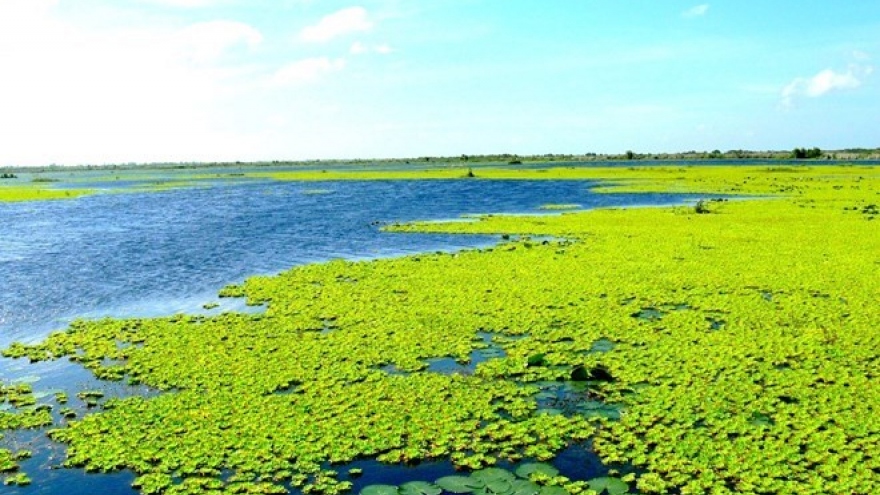 U Minh Thuong becomes Vietnam’s 8th Ramsar site