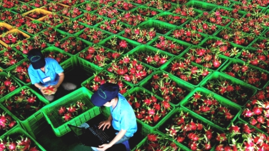 Do free trade agreements really create prosperity in Vietnam?