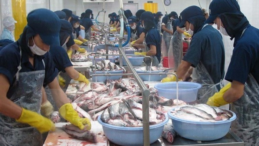 Export seafood quality not affected by mass fish deaths: VASEP