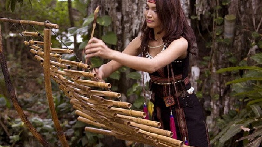 Bamboo musical instruments in Vietnam