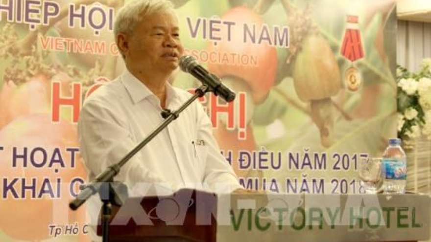 VINACAS: cashew import from Africa halts due to high prices