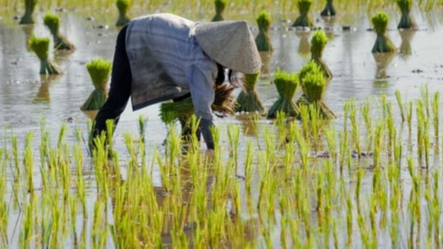 Vietnam enters FODOR'S go list 2015 