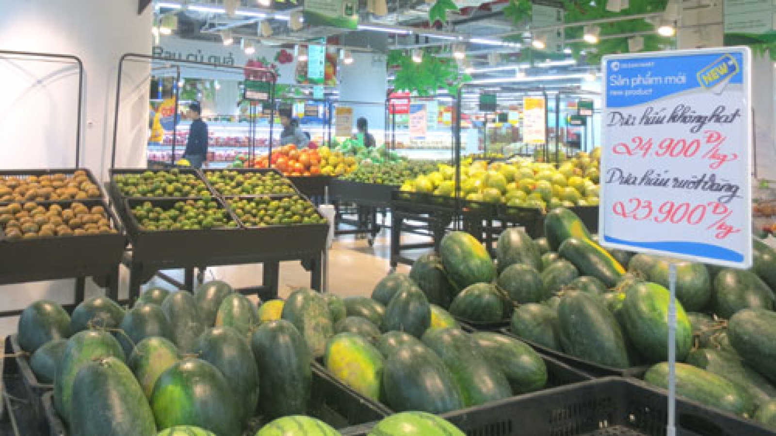 Russian food import ban benefits Vietnam