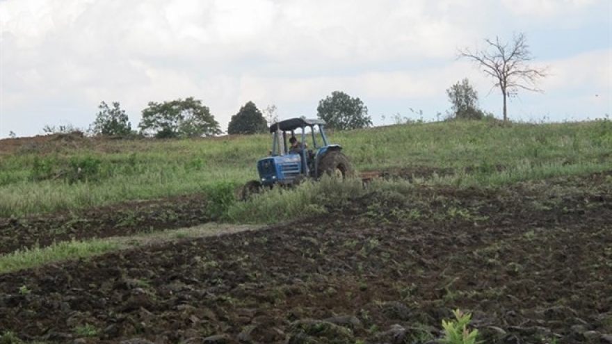Hundred of hectares of forestland encroached upon in Gia Lai