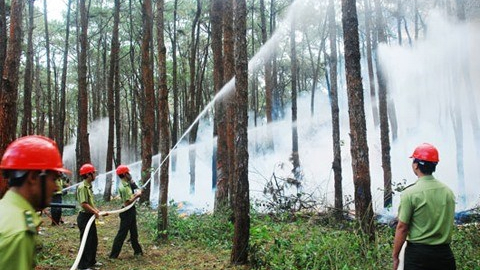 Dak Nong keeps wary eye on forests to prevent dry season fires
