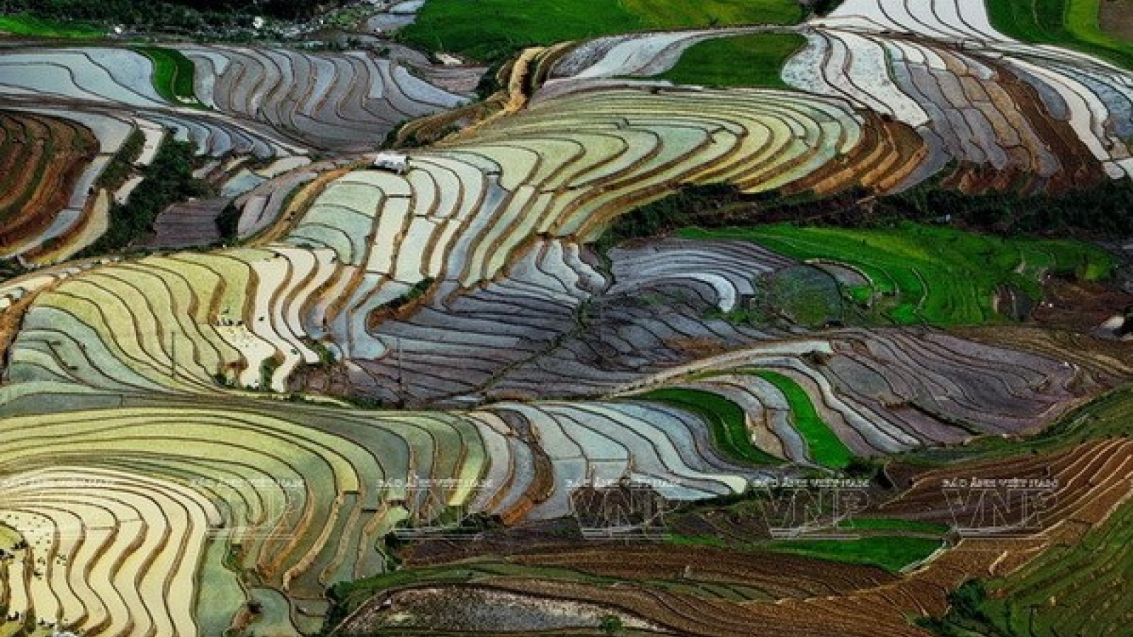 Paragliding festival to take place in Yen Bai