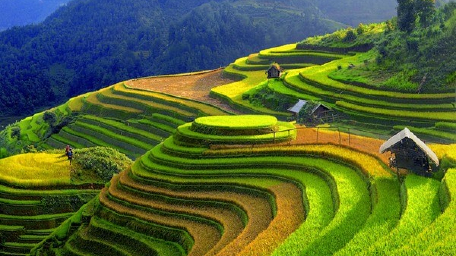 Mu Cang Chai named as worthy visit by US travel site