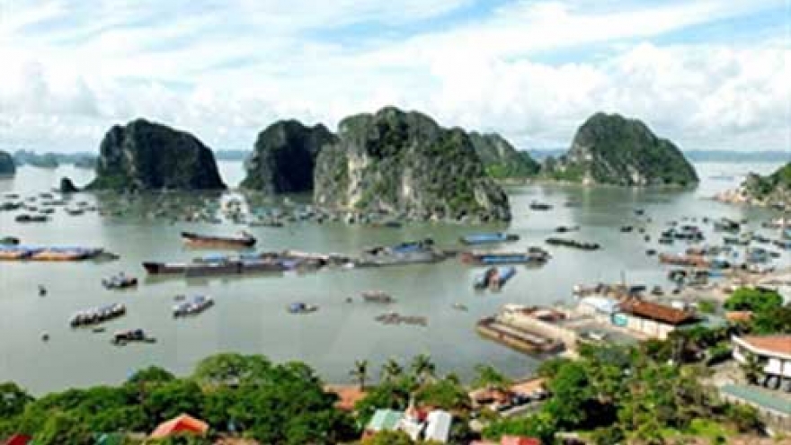 Vietnam promotes int’l arrivals through tourism portal