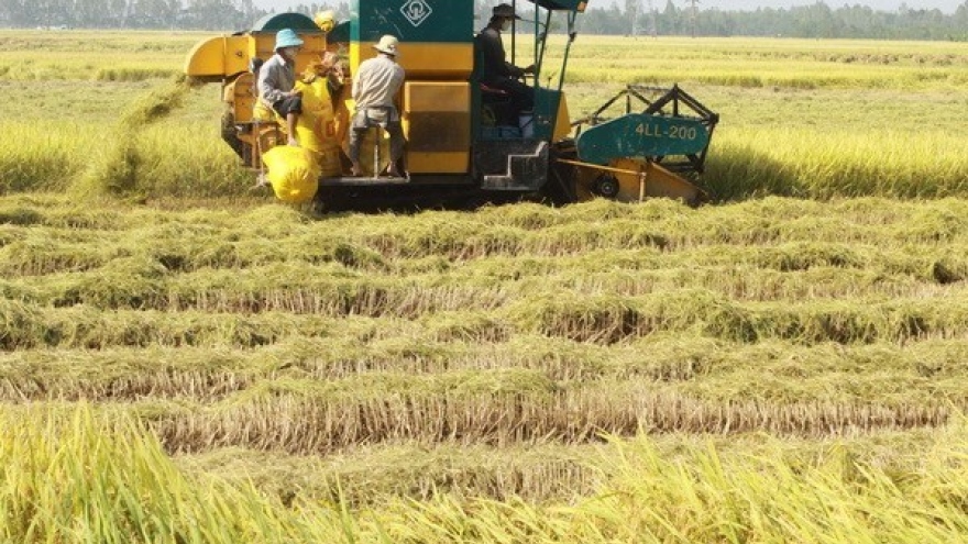 Project launched in Thai Binh to promote sustainable rice production