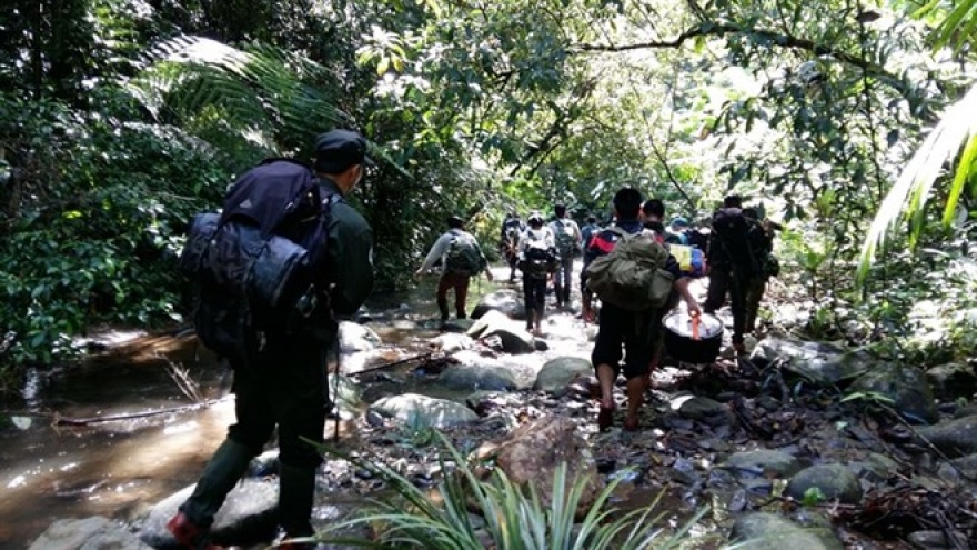 Bach Ma Park to host saola breeding centre