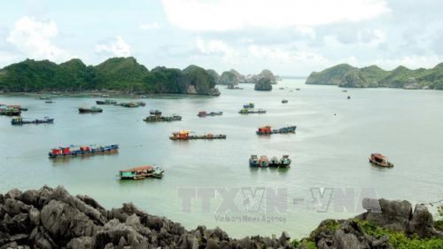 Hai Phong city welcomes 3 million tourists first half of 2017