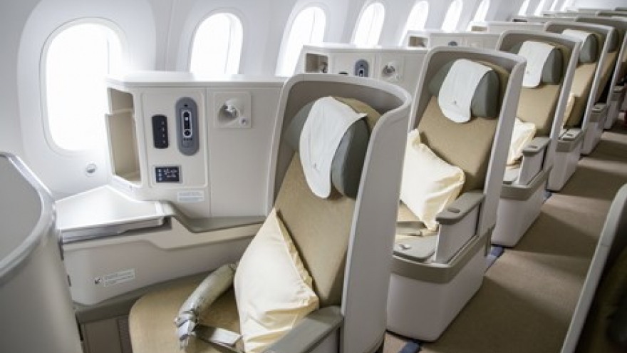 Passenger fined for slapping Vietnam Airlines flight attendant