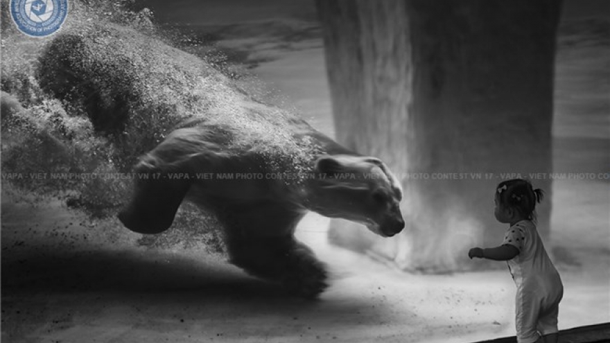 Latvian photographer wins five prizes in Vietnam