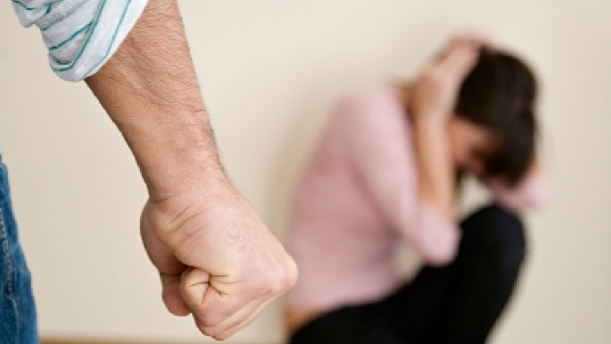 Vietnam promotes fight against domestic violence