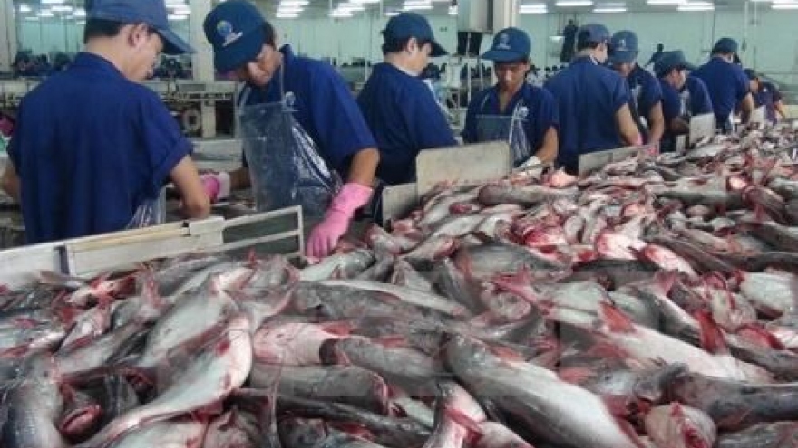 US raises anti-dumping duties on Vietnam’s frozen catfish fillets