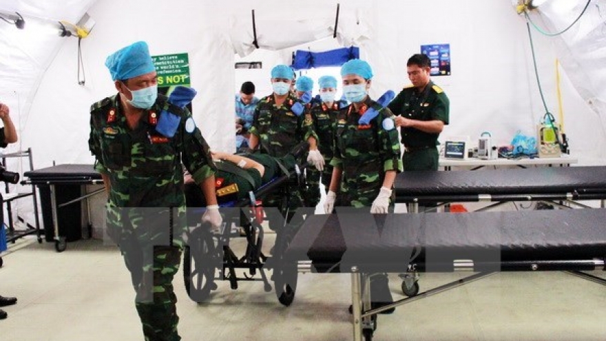 UN commits to supporting Vietnam in peacekeeping activities