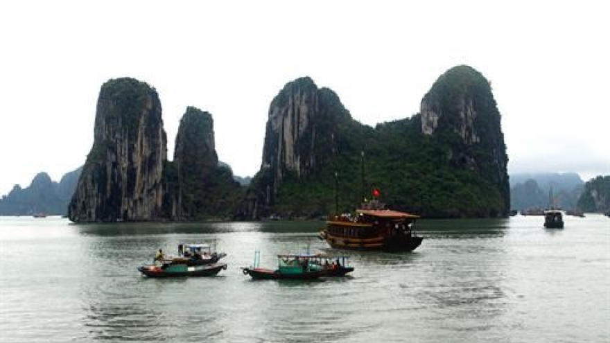 Vietnam focuses on sustainable tourism development