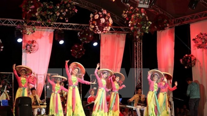 Vietnamese performers take stage at int’l folklore festival