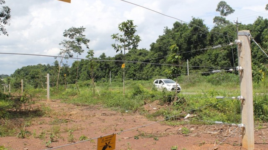 Dong Nai tests electric fence to protect elephants