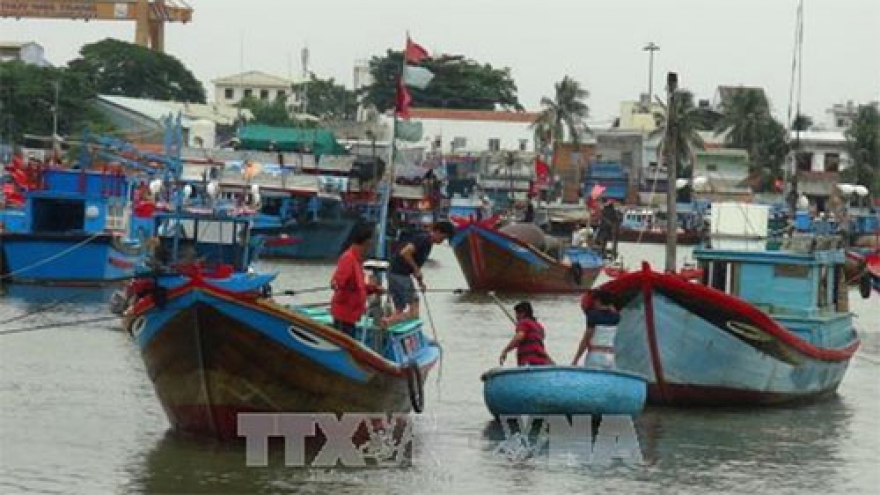
        Vietnam to impose harsh punishments on illegal fishing
                              