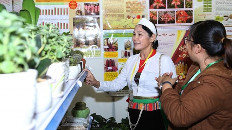 Time for Vietnam’s agriculture go hi-tech