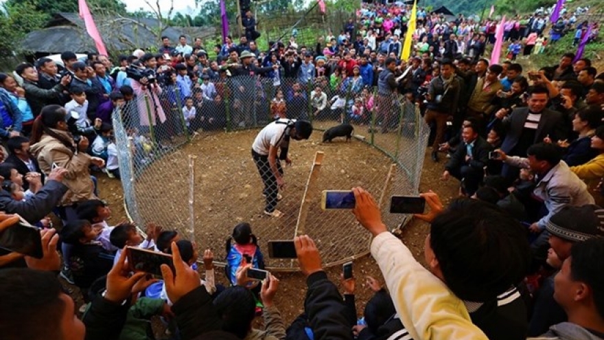 Tet arrives early for northern Mong ethnic village