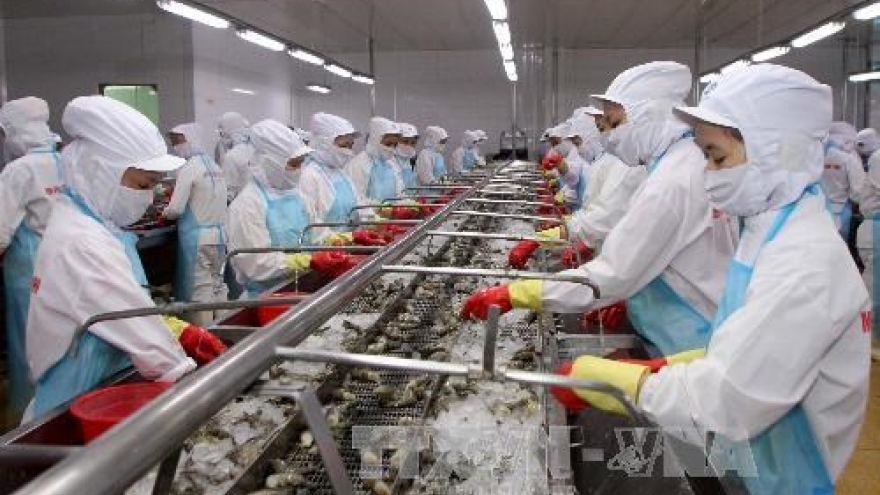 Efforts made to control disease safety in shrimp exported to Australia