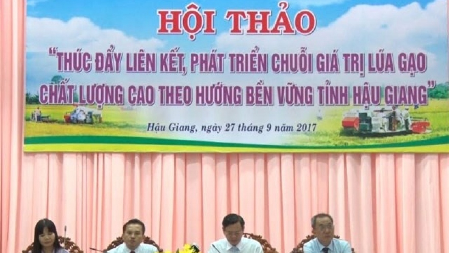 Conference seeks ways to build sustainable rice production chains