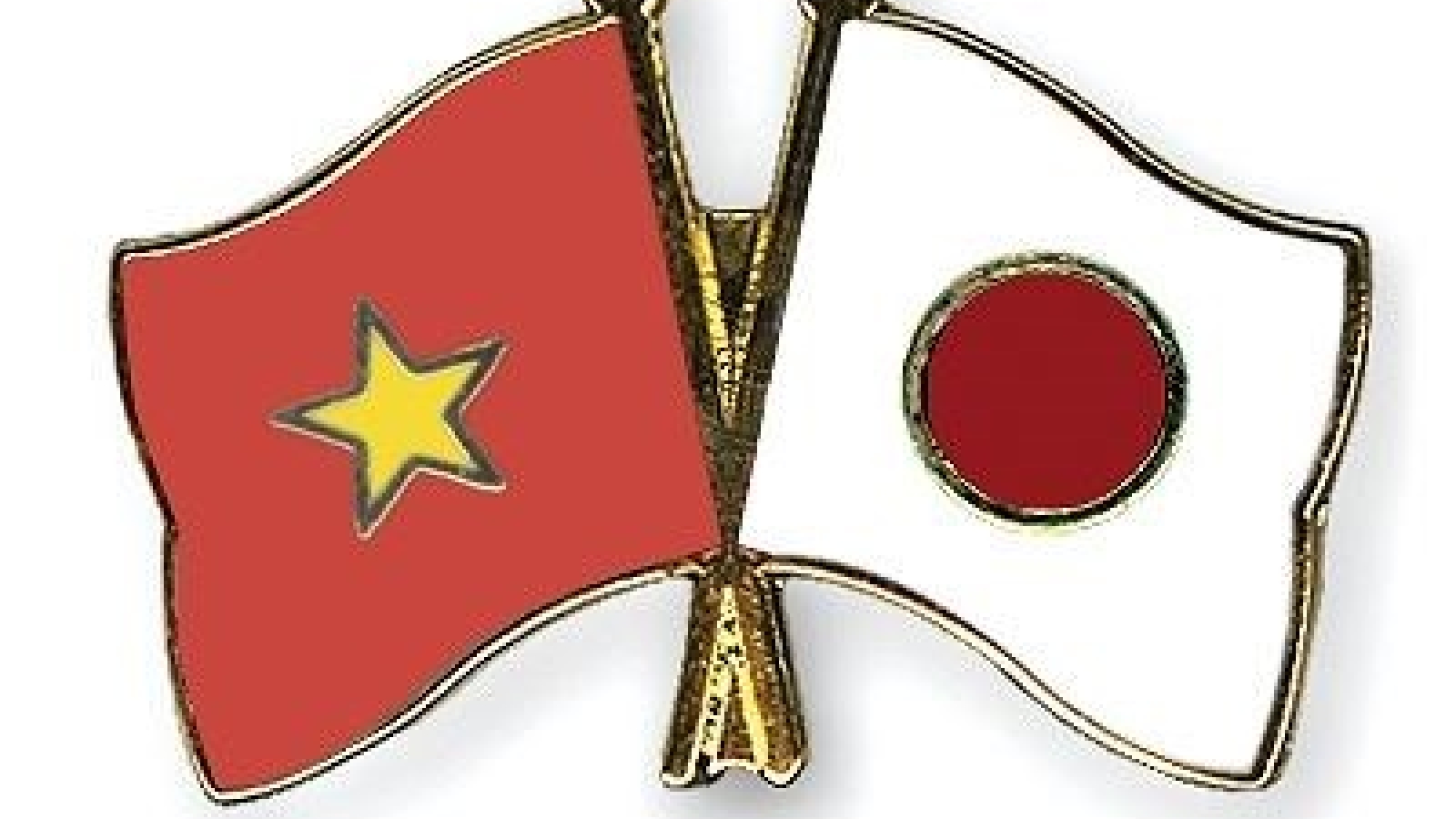 Can Tho to hold activities to mark Vietnam-Japan ties anniversary