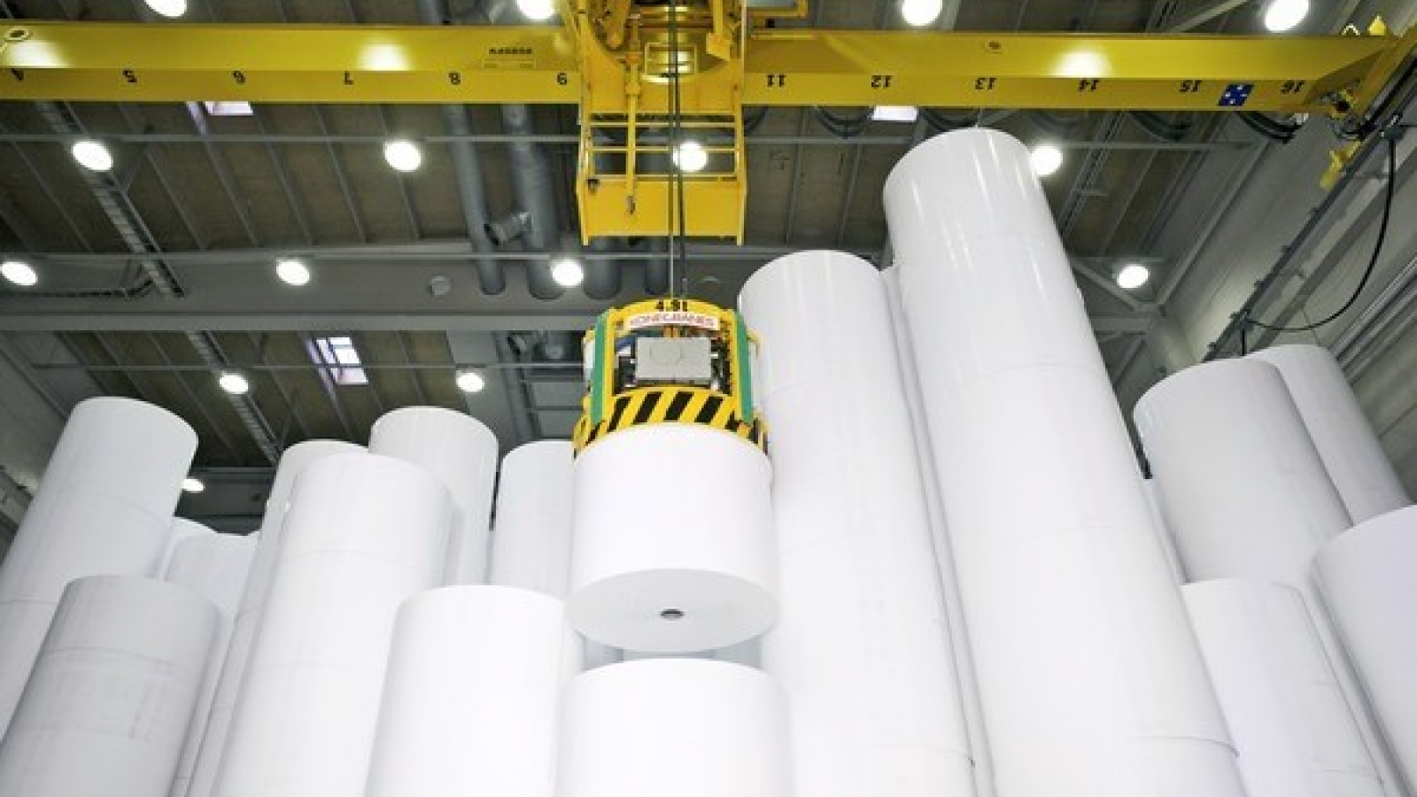 Vietnam's paper imports up last year