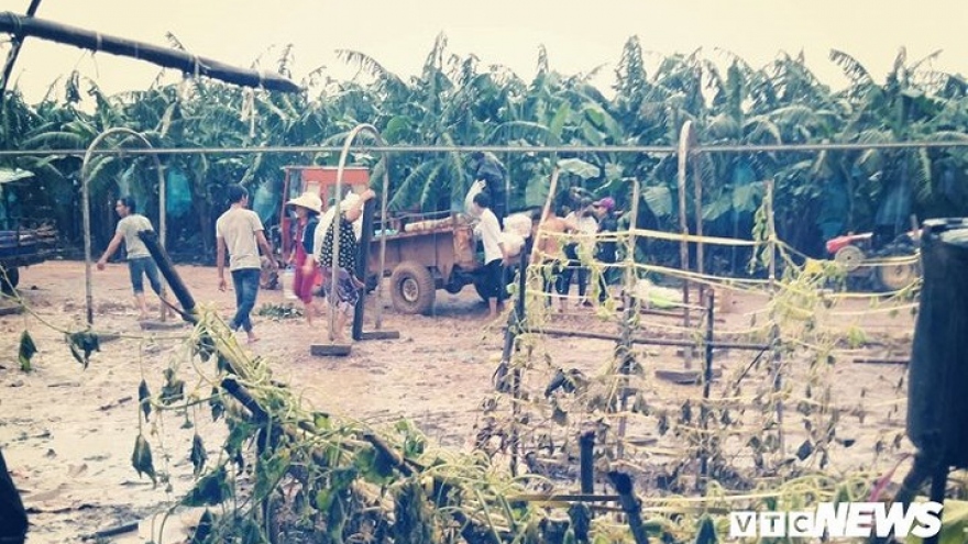 Vietnamese workers in Laos start cleaning up ruins after dam collapse