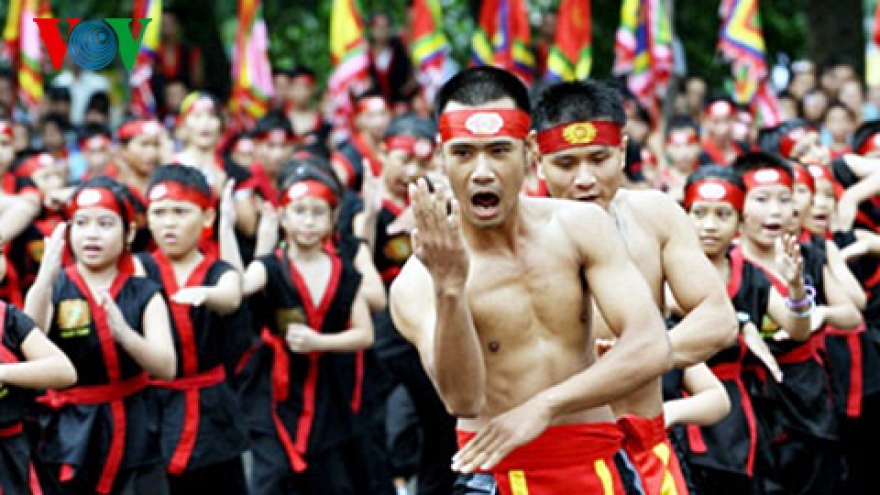 Hanoi Martial Arts Festival set to kick off