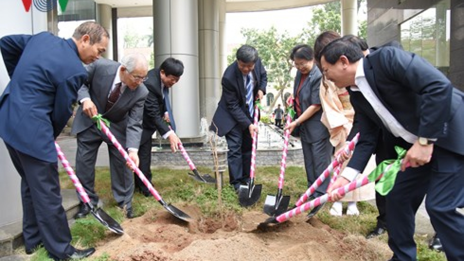 Japan presents 100 cherry trees to VOV